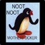 NOOT NOOT csgoatse.com