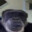 Аватар GrevingMaple