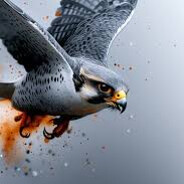 FalcoN