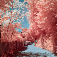 コメ好きネズミ