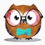 NerdyOwl