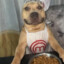 Perro Cocinero