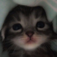 ♡I'M SORRY ᴸᴵᶠᴱ ♡ - steam id 76561199187101633