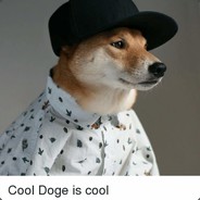 CoolDogeee