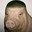 Plump Pig