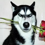 春风得意舞龙阳