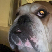 Condo saurus's avatar