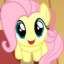 Fluttershy Enjoyer