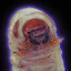 Grub