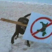 Cepillo de dientes con salsa nin