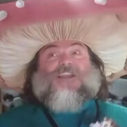 danlaest