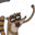 #BestRust Boat avatar