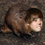 Justin Bobr