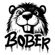 Bober Steam avatar