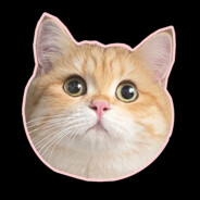 您看不到我在线