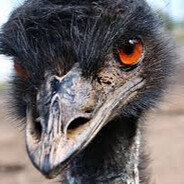 Spastic Emu