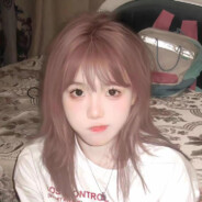 旅行中的黑白熊猫