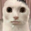 M O N K