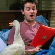 彼处山猫与狼共舞