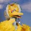 Big Bird