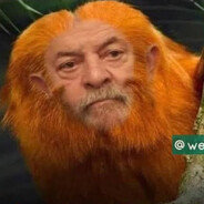 MICO LADRAO SAFADO