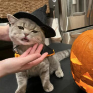 imstuckininternalagony