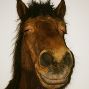 Po1son - steam id 76561199691230478