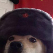 су́ка блядь