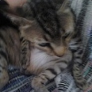 tareco fddddd!!!!!!!