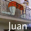 Uma Musume - Gold Ship Juan