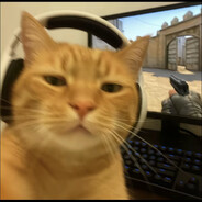 哈基米不会打狙