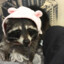 ЕНОТ ЗА САЛО's avatar