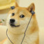 Sosho | Doge