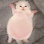 豁来