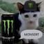 Monsert