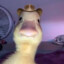 MotherDuck