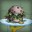 Velveeta