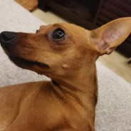 天大地大不如党的恩情大