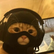 重生之我在沙二当匪猫