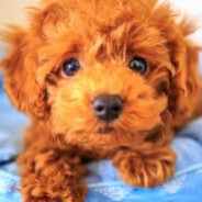 もーそろ定時です。