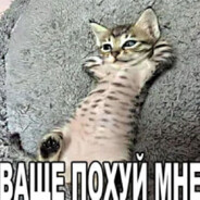 ｖ ｔａｖｅｒｎｕ