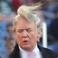 Donald Trump&#039;s hair