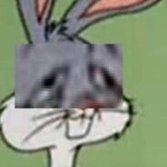 Bugs