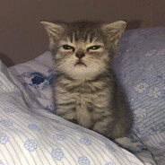 ✪ 𝕯𝖊𝖛𝖊𝖗𝖘𝖞