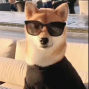 高高的飞向彩虹海