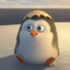 baby penguin