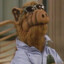 ALF