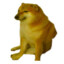 Axell