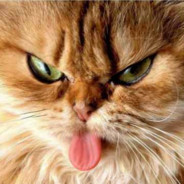 Asthmatic Cat