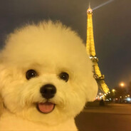 杨思思天天开心